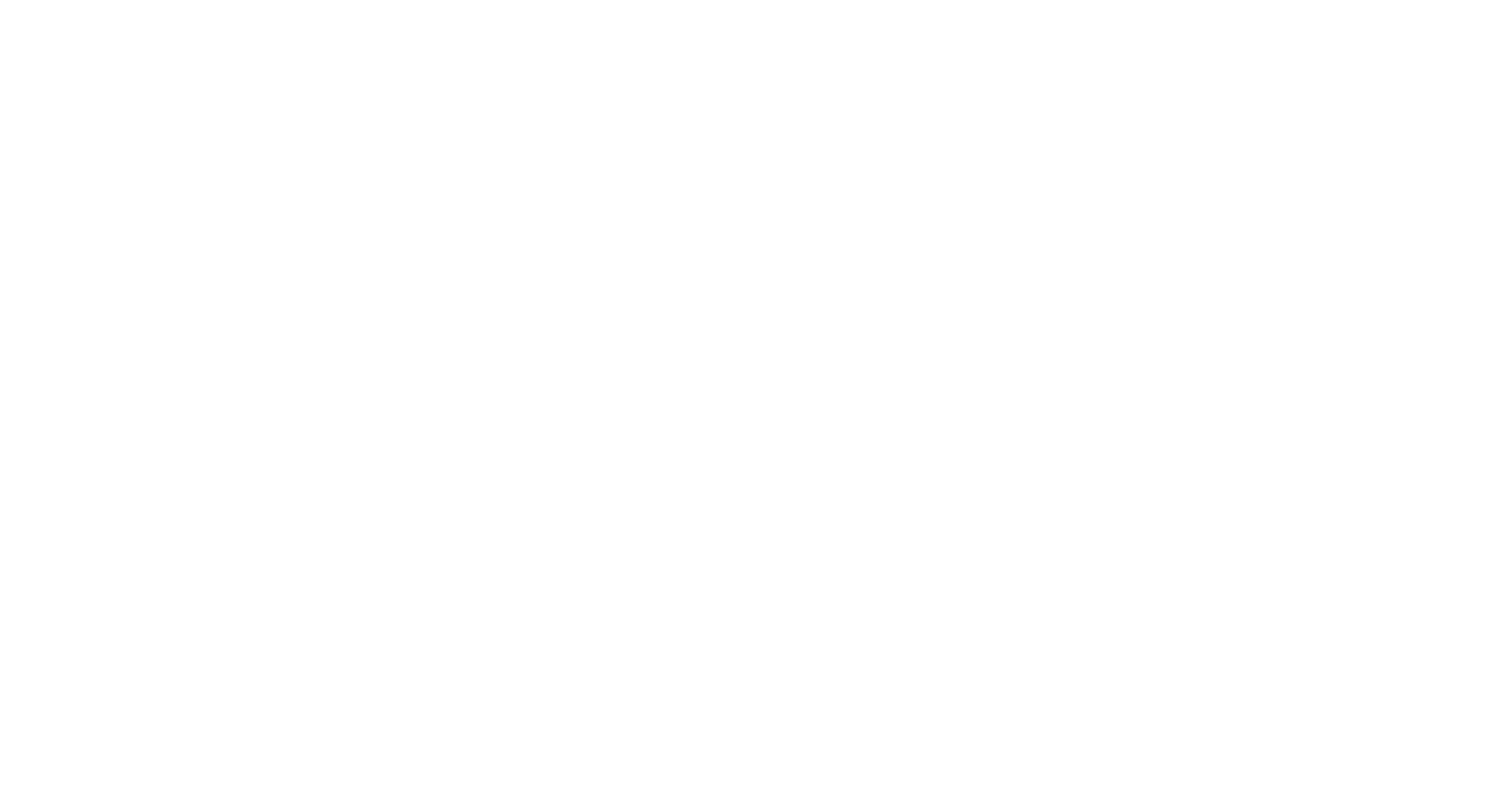 DriverBridge USA